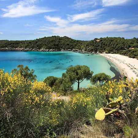Апартаменты Marea - La Tua Oasi Sul Mare By Helloelba *
